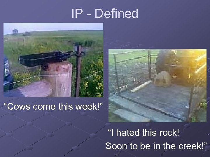 IP - Defined “Cows come this week!” “I hated this rock! Soon to be