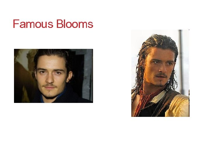 Famous Blooms 