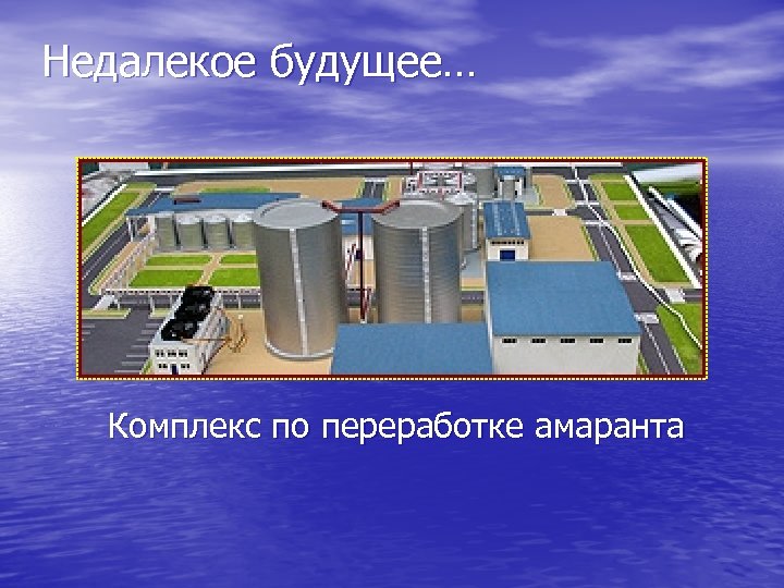 Недалекое будущее… Комплекс по переработке амаранта 