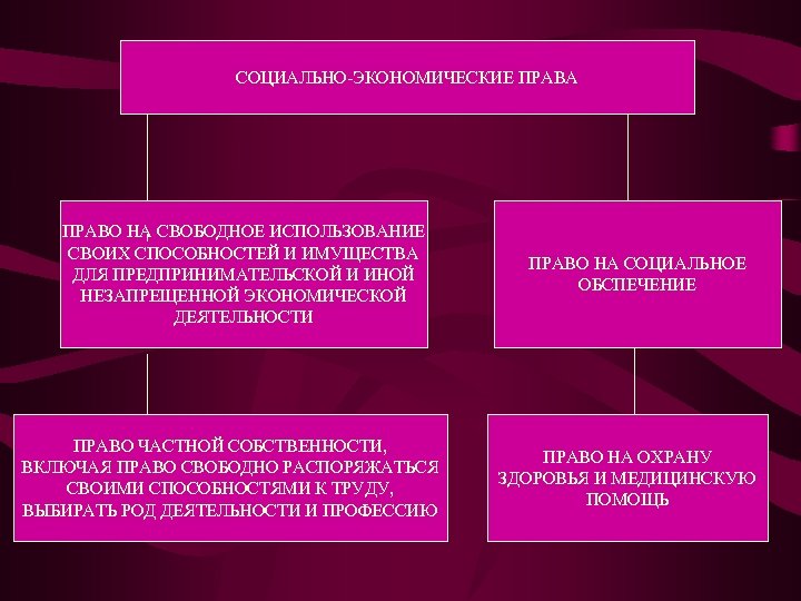 Проект социально экономические права