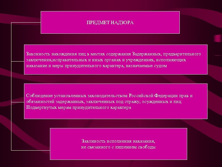 ПРЕДМЕТ НАДЗОРА Законность нахождения лиц в местах содержания Задержанных, предварительного заключения, исправительных и иных