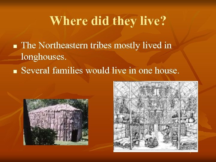 Where did they live? n n The Northeastern tribes mostly lived in longhouses. Several