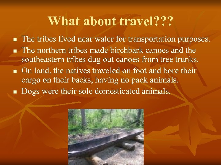 What about travel? ? ? n n The tribes lived near water for transportation