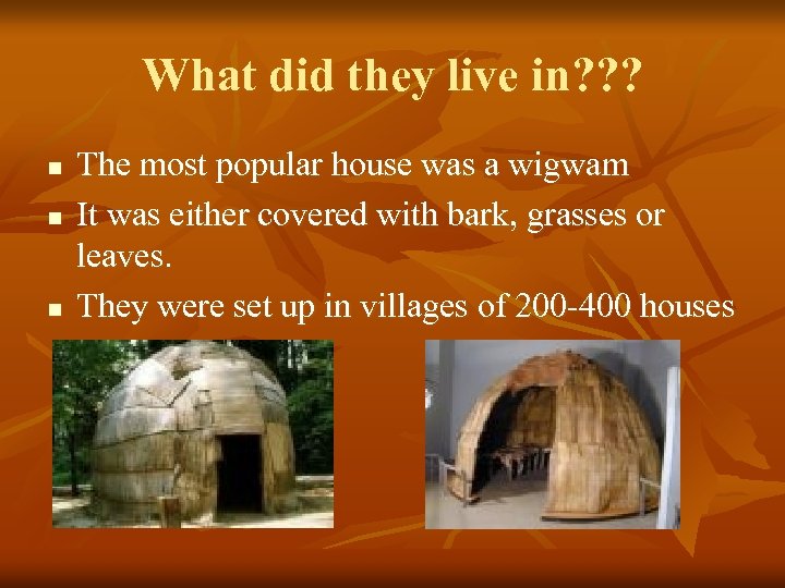 What did they live in? ? ? n n n The most popular house