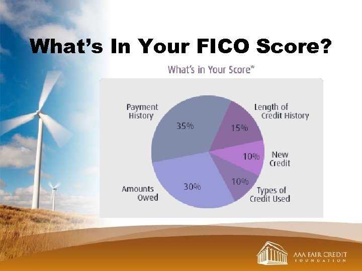What’s In Your FICO Score? 