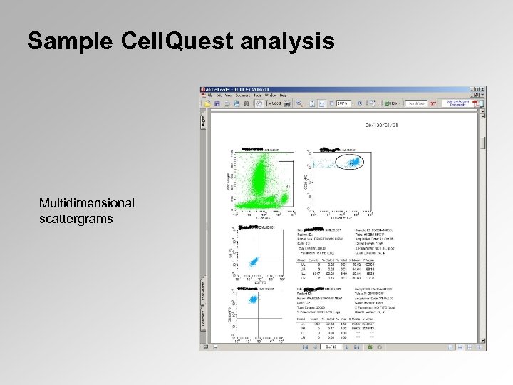 Sample Cell. Quest analysis Multidimensional scattergrams 