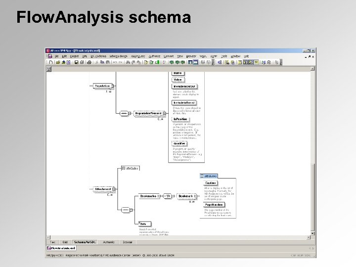 Flow. Analysis schema 