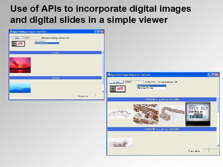 Use of APIs to incorporate digital images and digital slides in a simple viewer