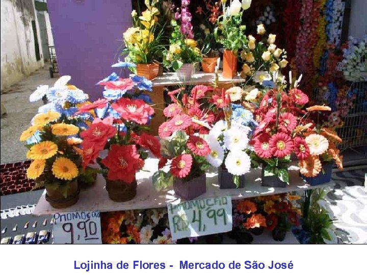 Lojinha de Flores - Mercado de São José 