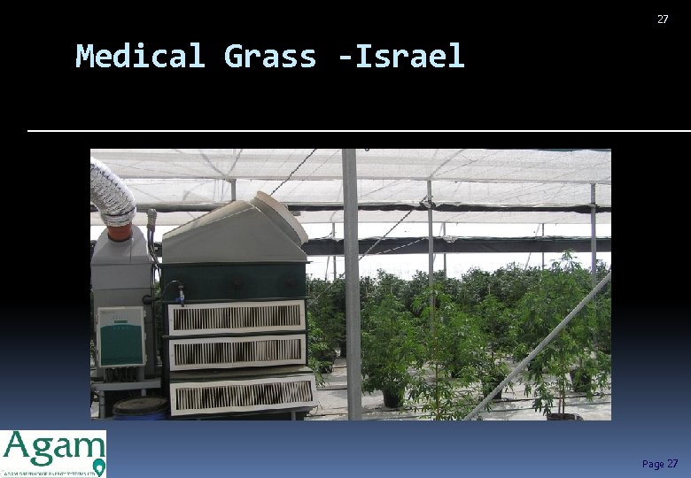 27 Medical Grass -Israel Page 27 