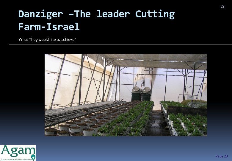 Danziger –The leader Cutting Farm-Israel 28 What They would like to achieve? Page 28