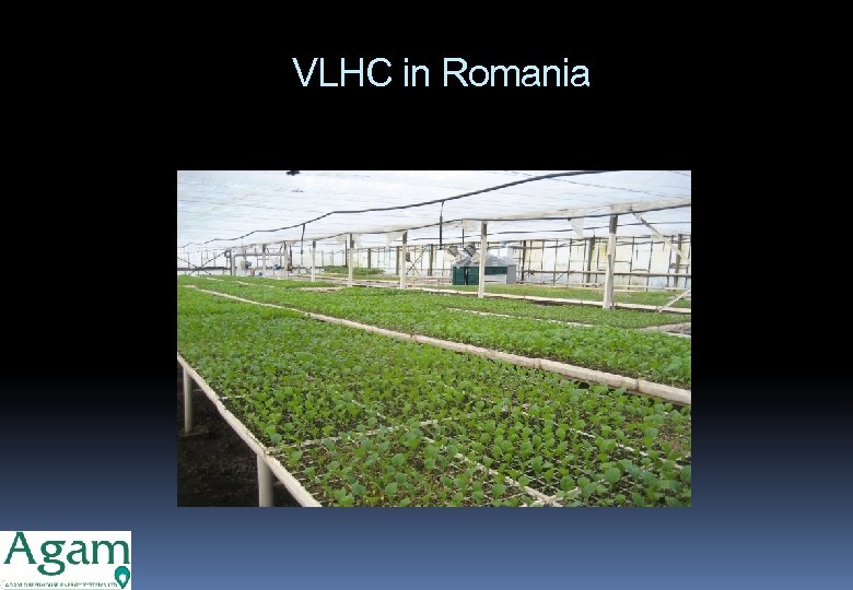 VLHC in Romania 