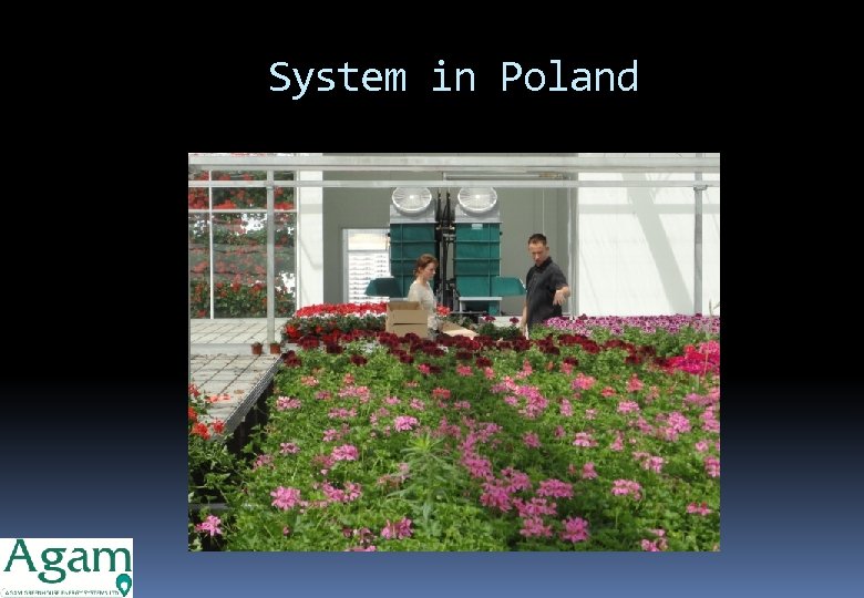 System in Poland 