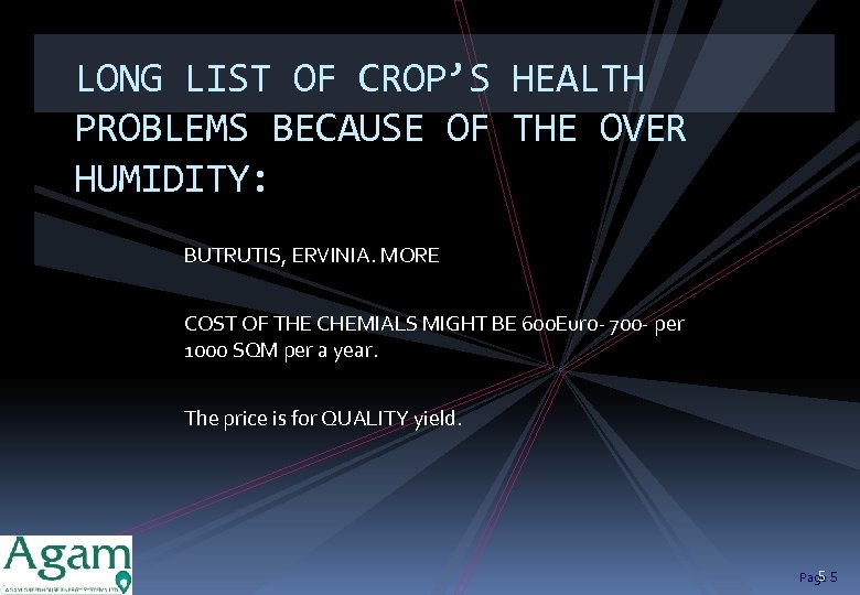 LONG LIST OF CROP’S HEALTH PROBLEMS BECAUSE OF THE OVER HUMIDITY: BUTRUTIS, ERVINIA. MORE