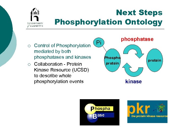 Next Steps Phosphorylation Ontology ¡ ¡ Control of Phosphorylation mediated by both phosphatases and