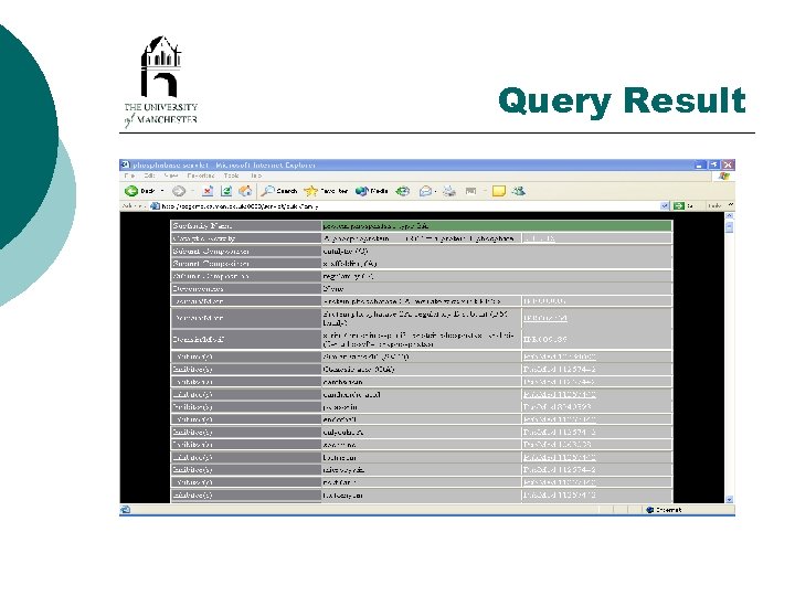 Query Result 