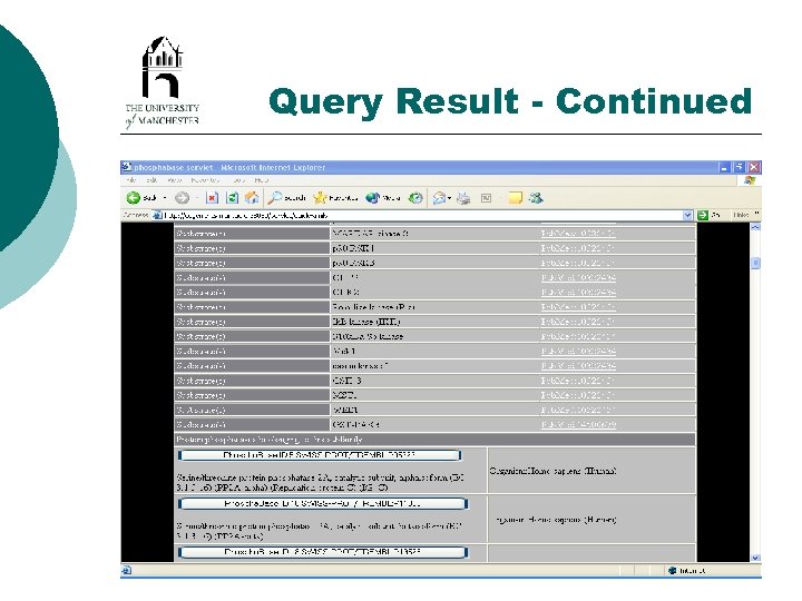Query Result - Continued 