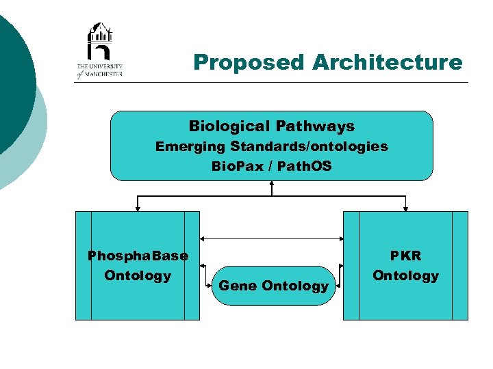 Proposed Architecture Biological Pathways Emerging Standards/ontologies Bio. Pax / Path. OS Phospha. Base Ontology