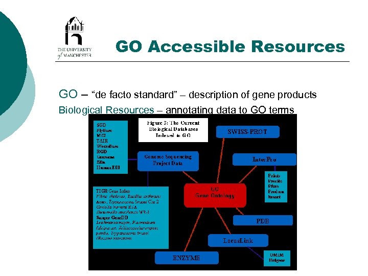 GO Accessible Resources GO – “de facto standard” – description of gene products Biological