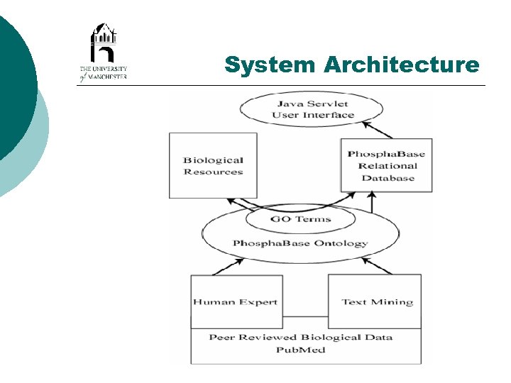 System Architecture 