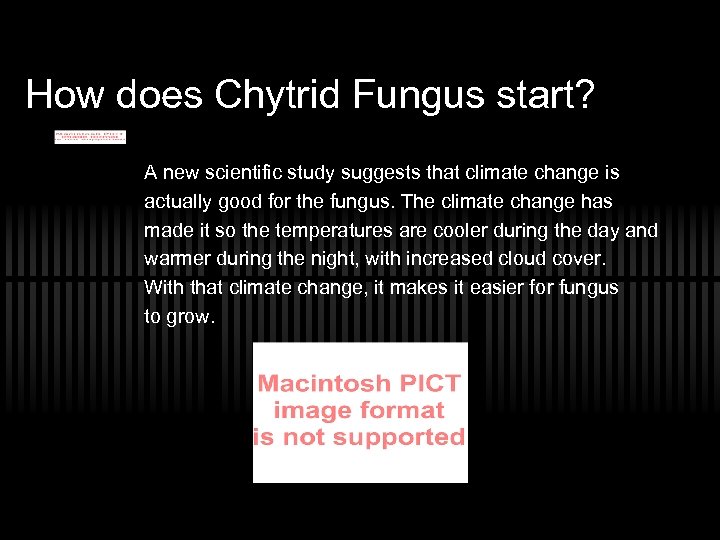 How does Chytrid Fungus start? A new scientific study suggests that climate change is