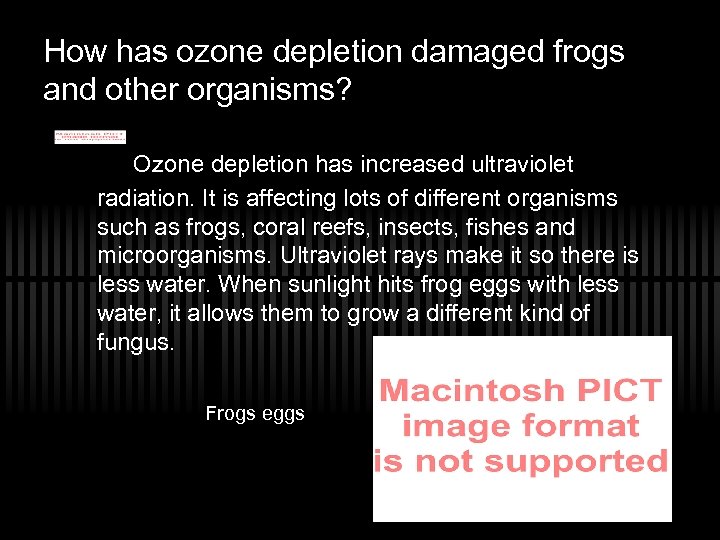 How has ozone depletion damaged frogs and other organisms? Ozone depletion has increased ultraviolet