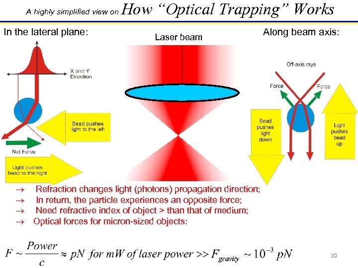 A highly simplified view on In the lateral plane: How “Optical Trapping” Works Laser