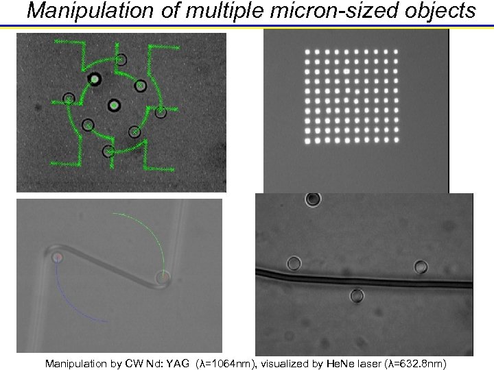 Manipulation of multiple micron-sized objects Manipulation by CW Nd: YAG (λ=1064 nm), visualized by