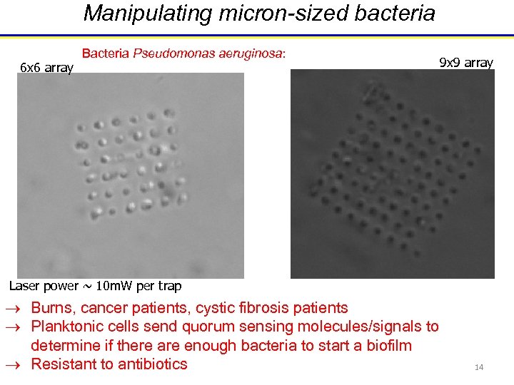 Manipulating micron-sized bacteria 6 x 6 array Bacteria Pseudomonas aeruginosa: 9 x 9 array