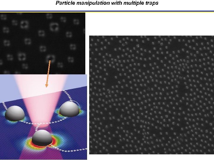 Particle manipulation with multiple traps 15 
