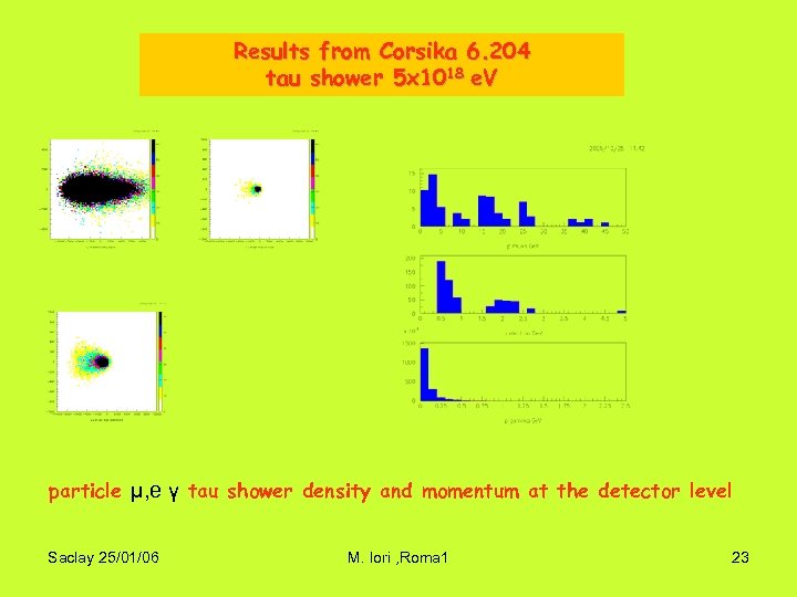 Results from Corsika 6. 204 tau shower 5 x 1018 e. V particle μ,