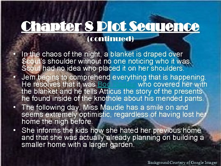 Chapter 8 Plot Sequence (continued) • In the chaos of the night, a blanket