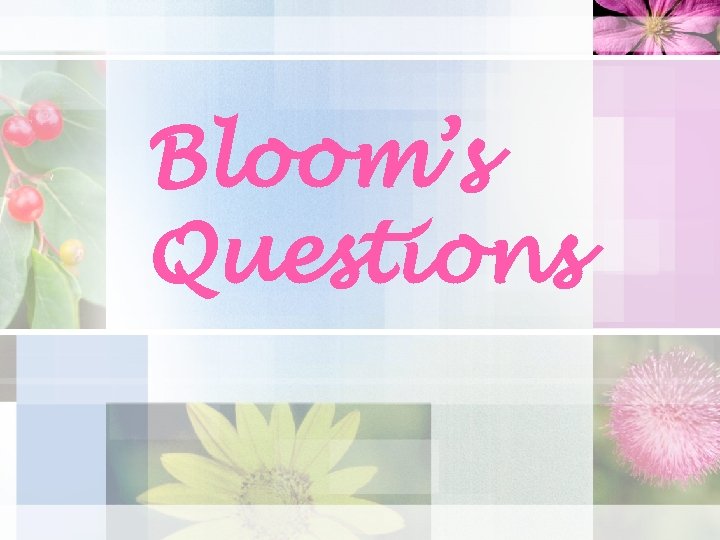 Bloom’s Questions 