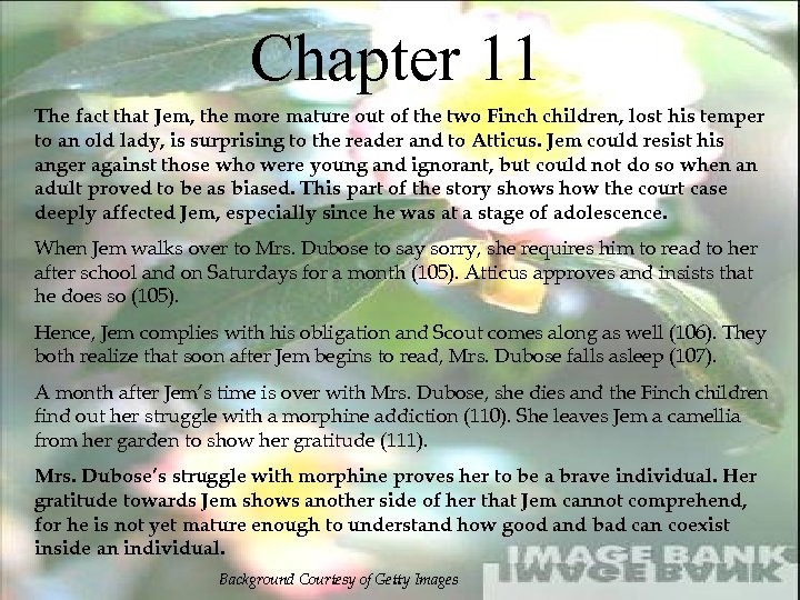 Chapter 11 The fact that Jem, the more mature out of the two Finch