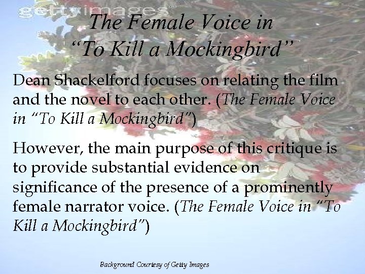 The Female Voice in “To Kill a Mockingbird” Dean Shackelford focuses on relating the