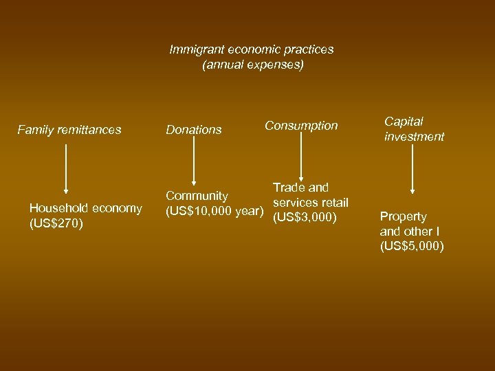 Immigrant economic practices (annual expenses) Family remittances Household economy (US$270) Donations Consumption Trade and