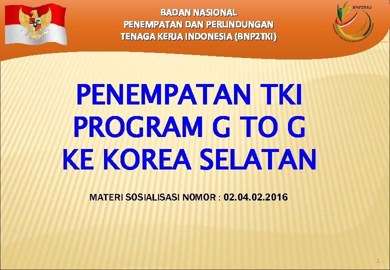 BADAN NASIONAL PENEMPATAN DAN PERLINDUNGAN TENAGA KERJA INDONESIA (BNP 2 TKI) PENEMPATAN TKI PROGRAM