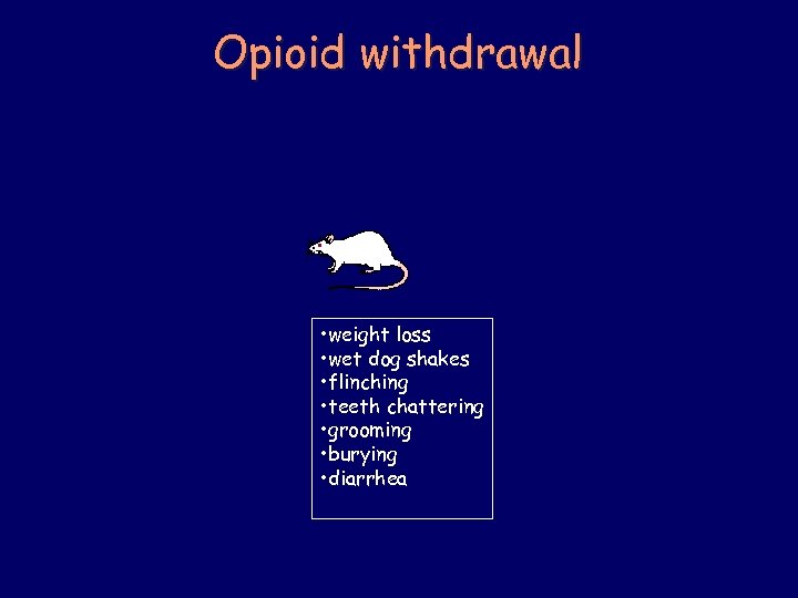 Opioid withdrawal • weight loss • wet dog shakes • flinching • teeth chattering