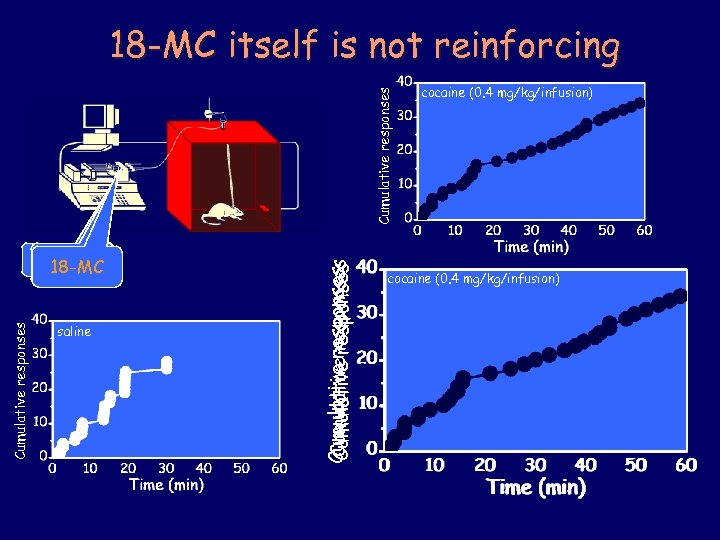 Cumulative responses cocaine saline 18 -MC saline Cumulative responses 18 -MC itself is not