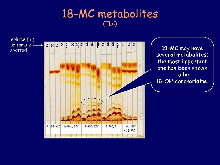 18 -MC metabolites (TLC) Volume ( l) of sample spotted 18 -MC may have