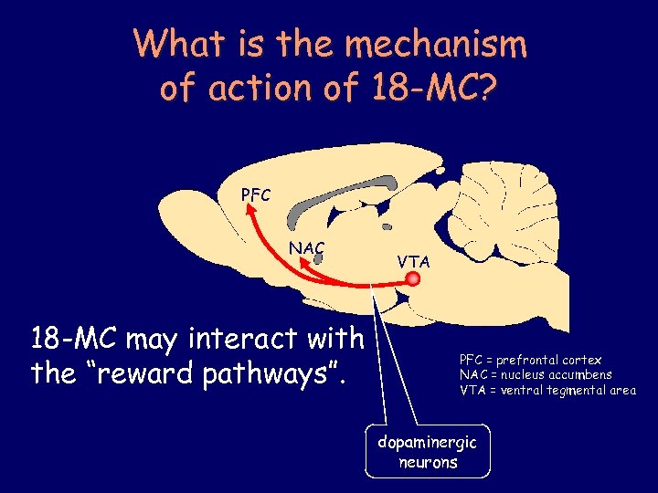 What is the mechanism of action of 18 -MC? PFC NAC 18 -MC may