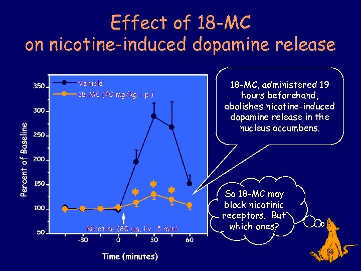 Effect of 18 -MC on nicotine-induced dopamine release 18 -MC, administered 19 hours beforehand,