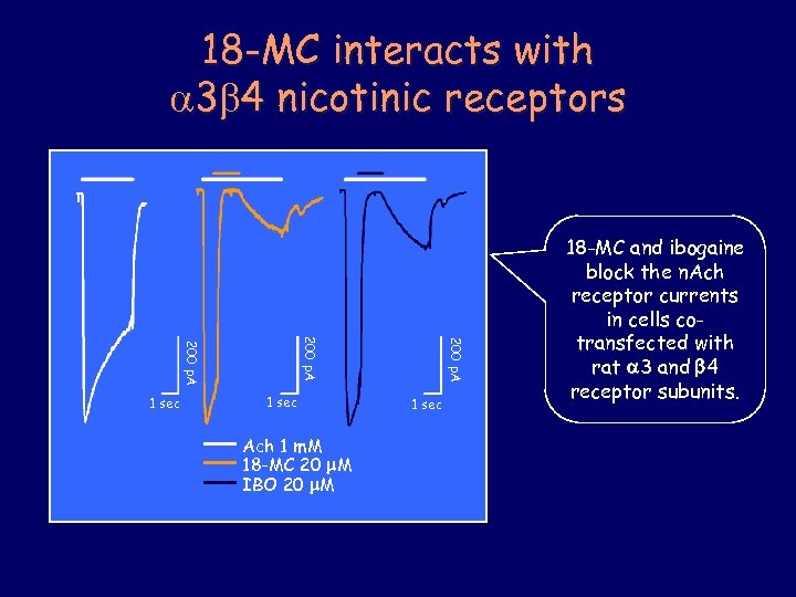 18 -MC interacts with 3 4 nicotinic receptors 1 sec Ach 1 m. M