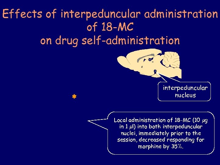 Effects of interpeduncular administration of 18 -MC on drug self-administration * interpeduncular nucleus Local