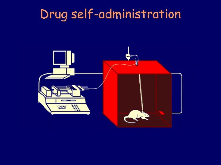 Drug self-administration 