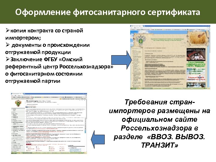 Оформление фитосанитарного сертификата Øкопия контракта со страной импортером; Ø документы о происхождении отгружаемой продукции