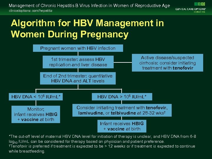 Management of Chronic Hepatitis B Virus Infection in Women of Reproductive Age clinicaloptions. com/hepatitis