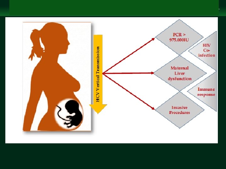 Management of Chronic Hepatitis B Virus Infection in Women of Reproductive Age clinicaloptions. com/hepatitis