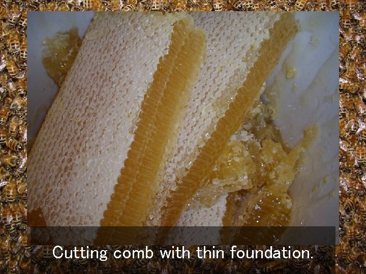 Cutting comb with thin foundation. 