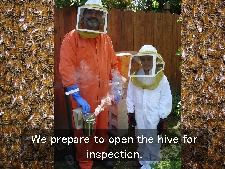 We prepare to open the hive for inspection. 